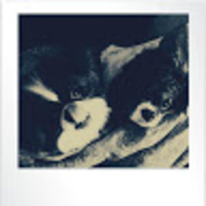 Meet your Posher, Petra